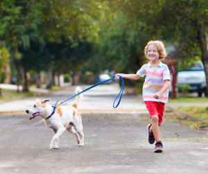 Let's give thanks for dogs: honoring our furry companions this thanksgiving