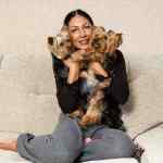A reputable small dog breeder cuddles two of her small breed dogs