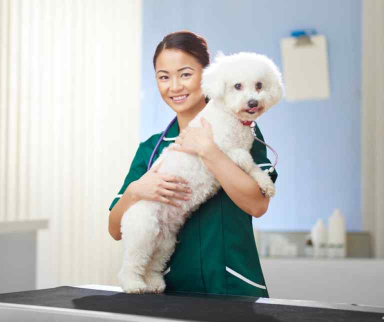 Dog Health - Dogs And Puppies Central