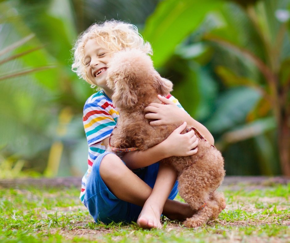 Cute little boy playing with his small breed poodle mix dog