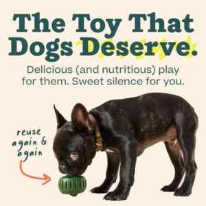 Long-lasting woof pupsicle dog toy for large breeds - engage and entertain your pup