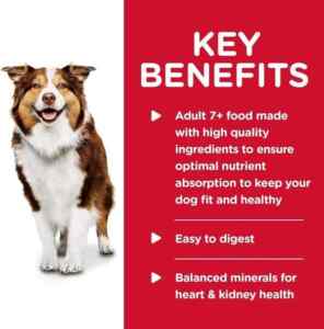 Hill's science diet senior dog food - optimal nutrition for aging dogs