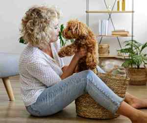 Maltipoo dog and owner