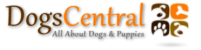 Dog Adoption Central