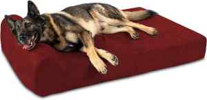 The best large breed dog beds for great danes