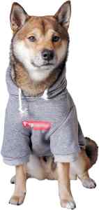 The cho cho cho dog hoodie