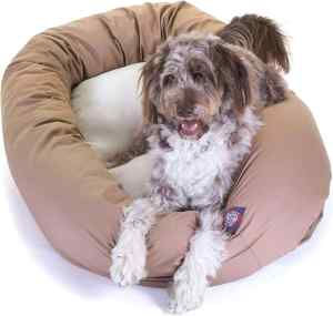 The best large breed dog beds for great danes