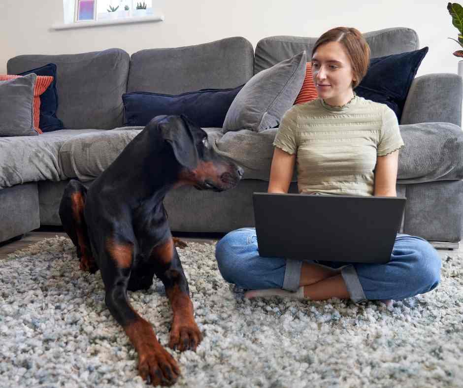 doberman pinscher dog and owner sitting on the floor.