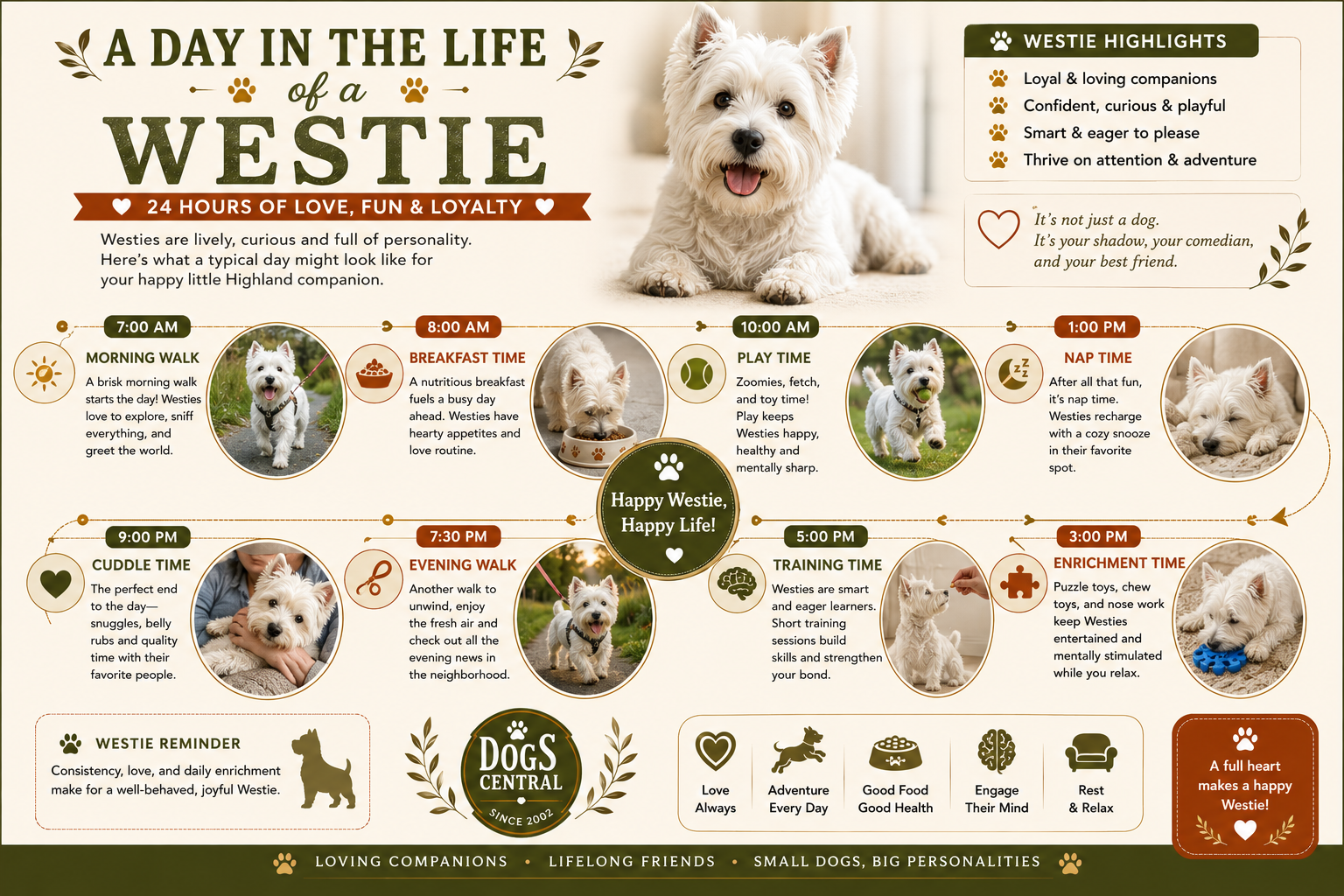 A day in the life of a west highland white terrier in photographic