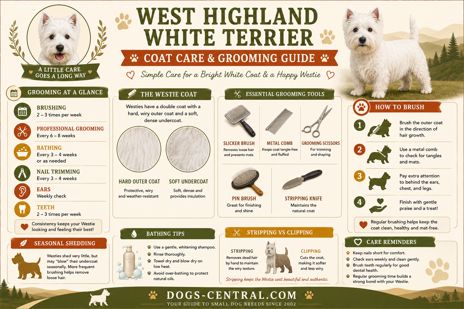 Westie grooming