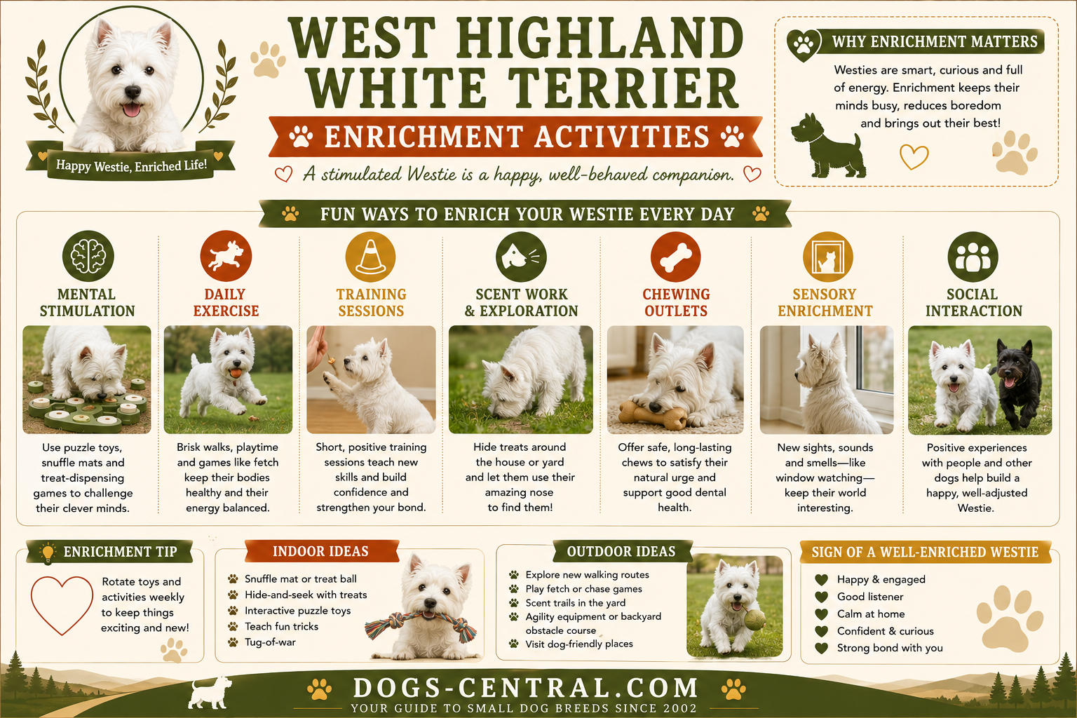 Westie enrichment activitie guide