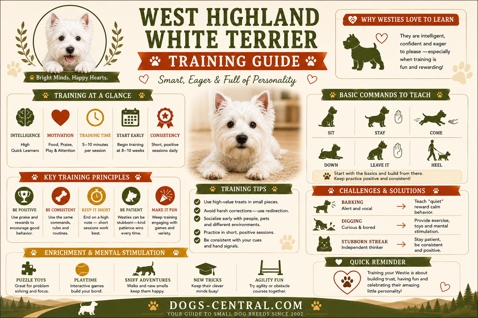 Westie training guide
