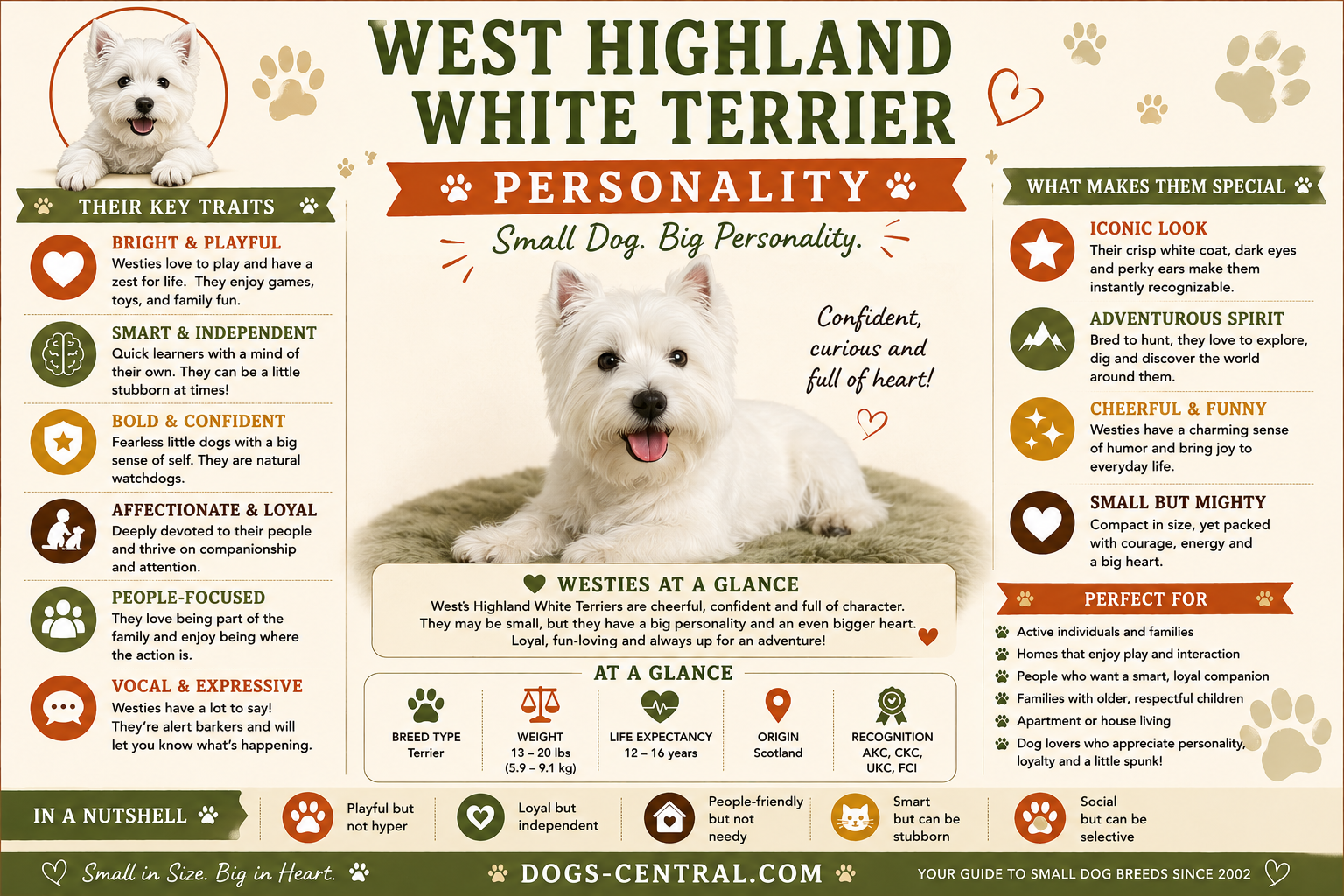 Westie Personality infographic