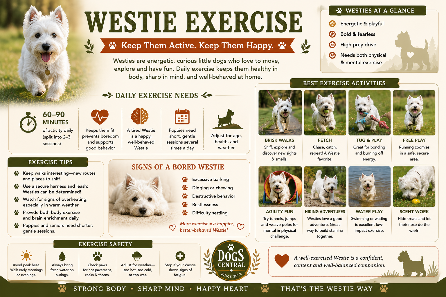 Westie exercise infographi