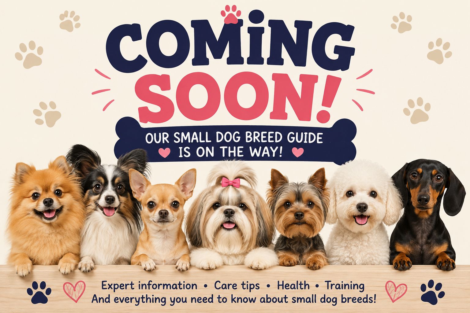 Our Maltese Dog Breed Guide is coming soon.