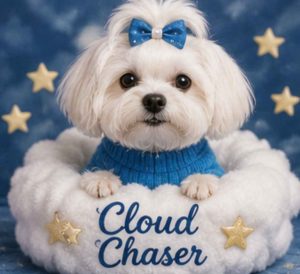 Small female dog names cloud chaser