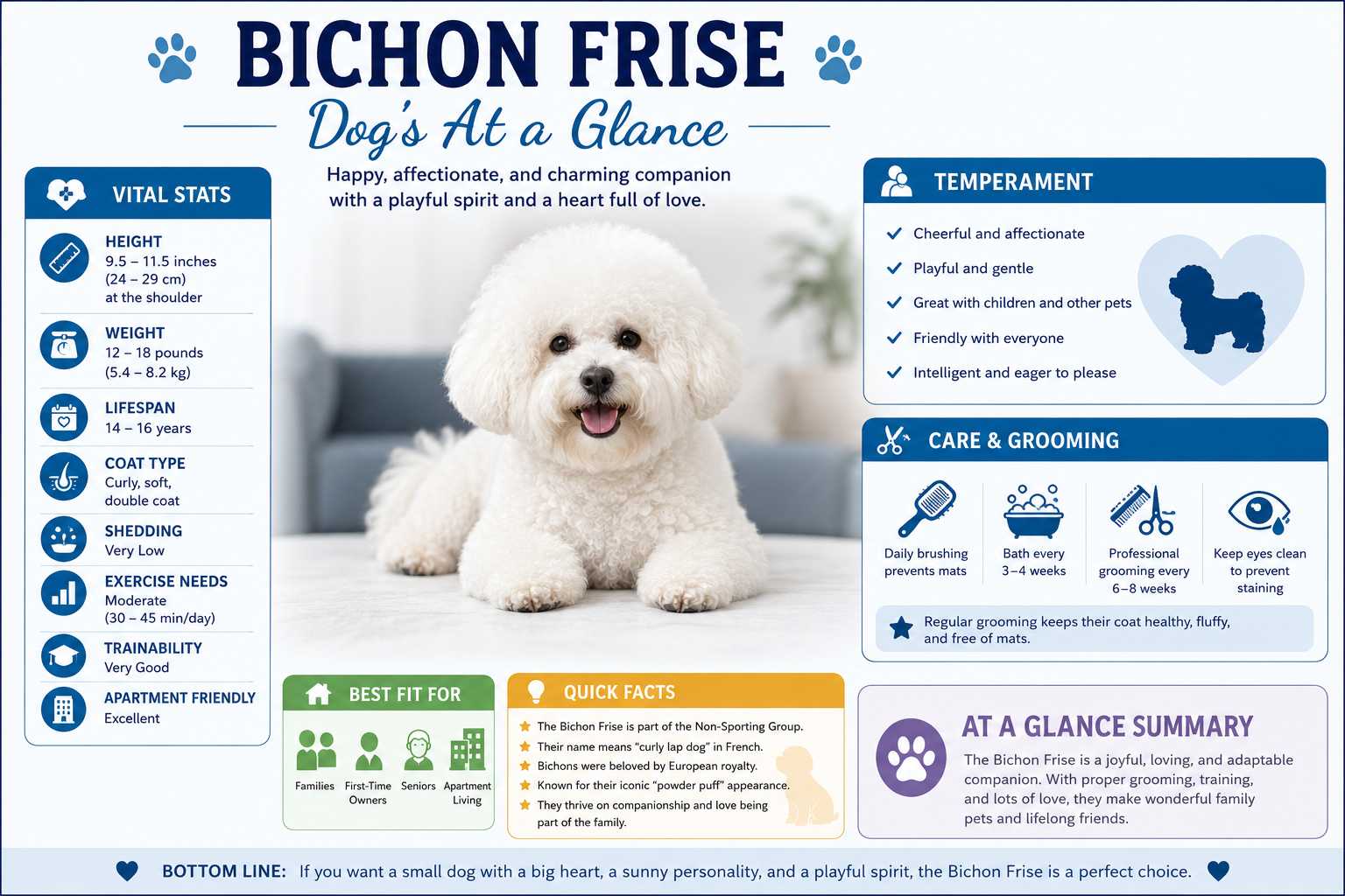 Bichon Frise at a Glance infographic showing size, weight, lifespan, temperament, exercise needs, grooming requirements, shedding level, trainability, and key breed facts.