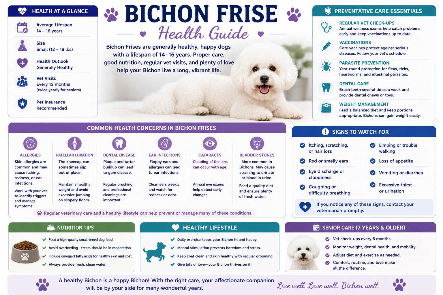 Bichon Frise Health Guide infographic highlighting common health concerns, preventive care, dental health, weight management, vaccinations, veterinary checkups, and tips for a long, healthy life.