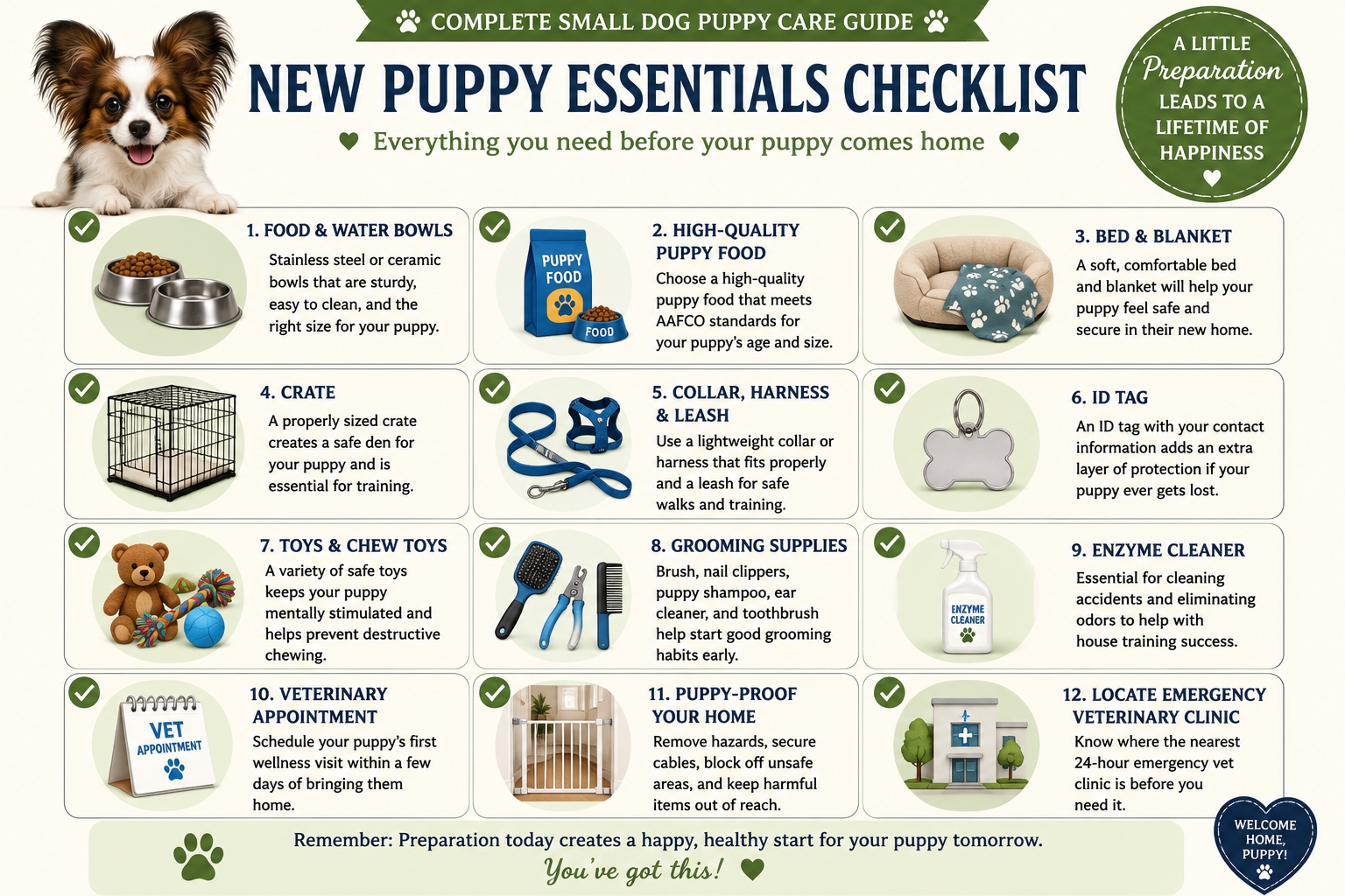 New Puppy Essentials Checklist