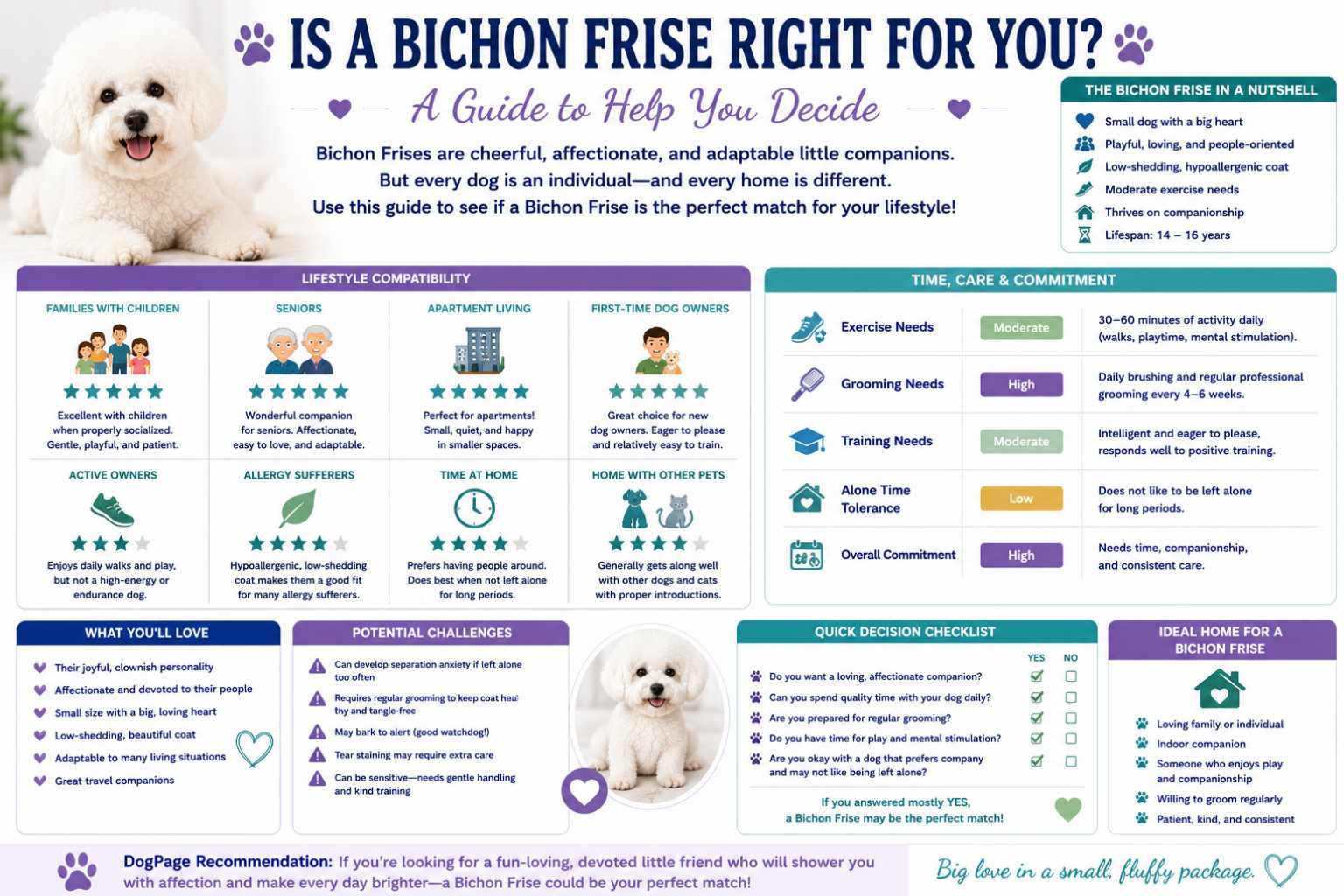 Is a Bichon Frise Right for You? infographic comparing suitability for families, seniors, apartment living, first-time owners, activity level, grooming commitment, and lifestyle compatibility.